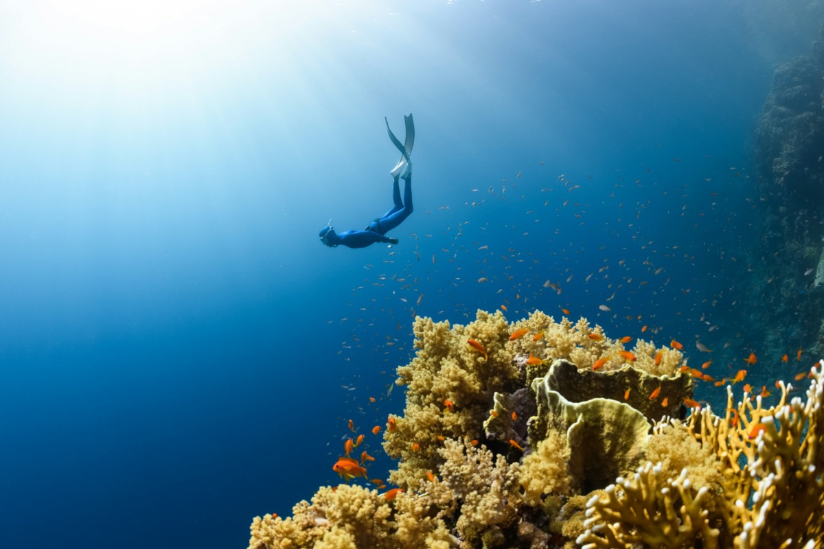 Islands of NEOM – NEOM Saudi Arabia | Home to kaleidoscopic-colored coral reefs and an abundance of diverse marine life.