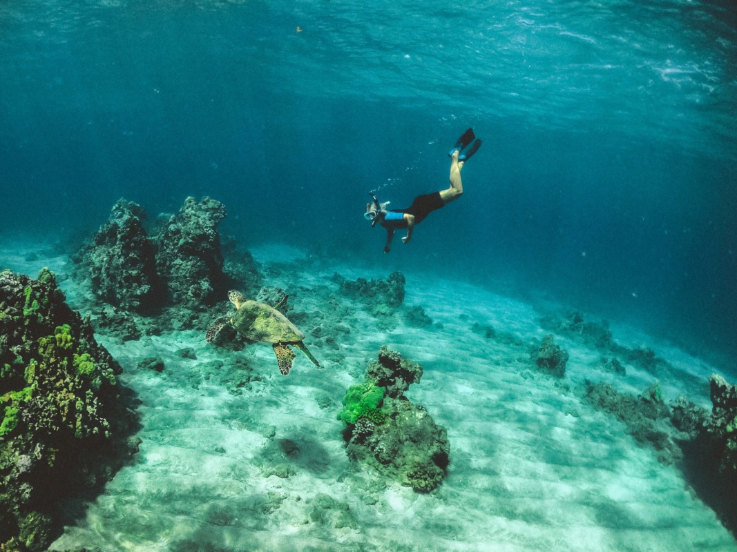 Underwater shot by Kyle @SubtleCinematics with the GoPro Hero 7 in Maui, Hawaii!Check out our Instagram @SubtleCinematics
